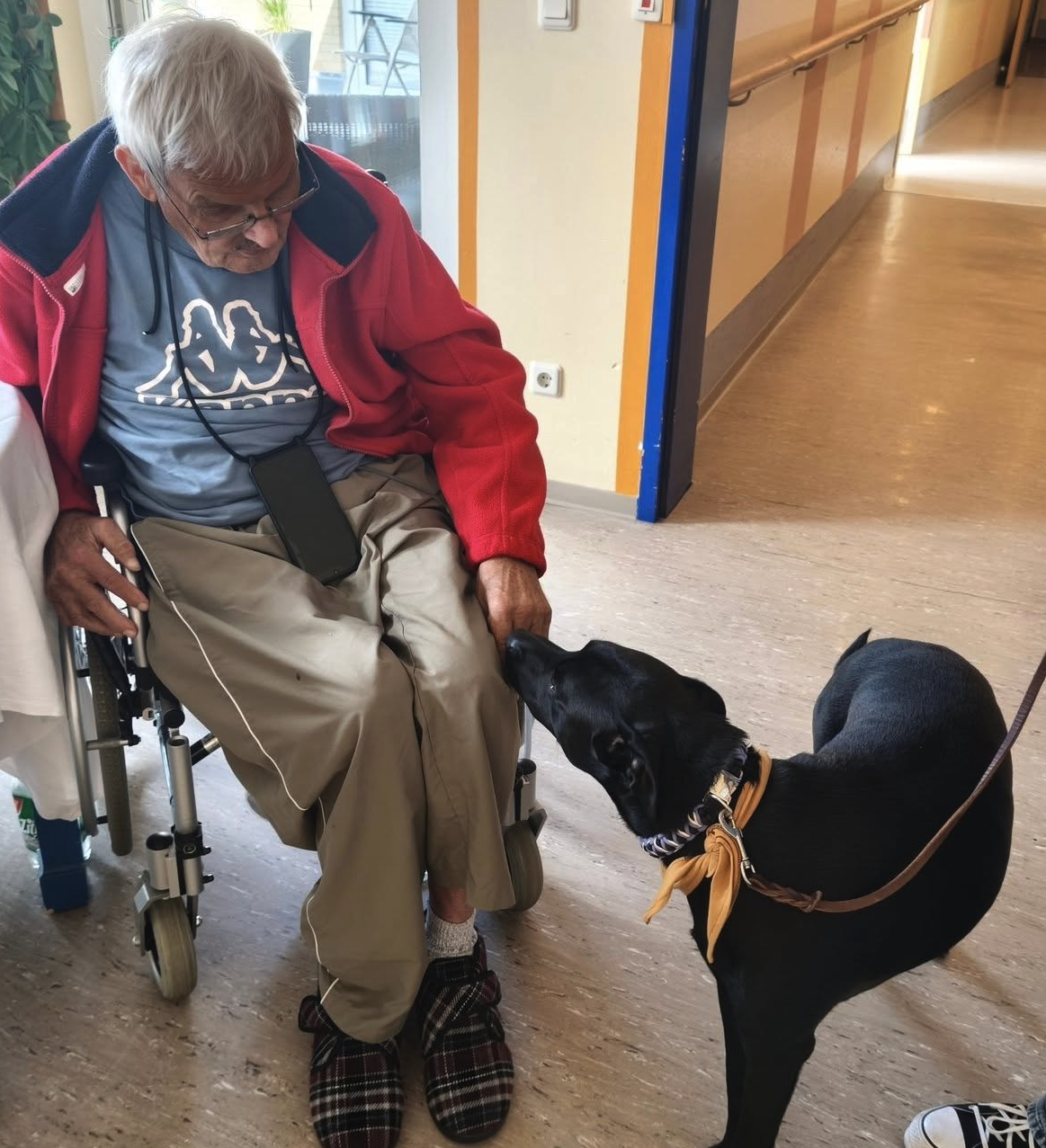 Besuch mit Hund